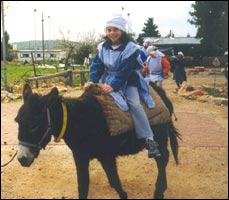 Riding a donkey in the Galilee
